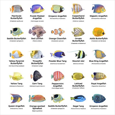 постеры Рыбки с названиями