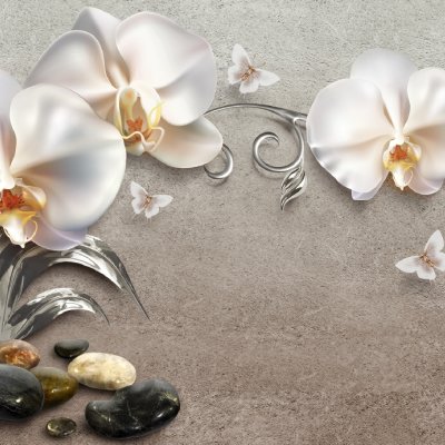 фотообои Жемчужные орхидеи и камни