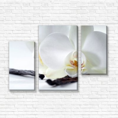 модульные картины Цветок ванили