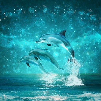 фотообои Дельфины ночью