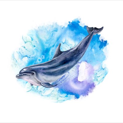 постеры Дельфин