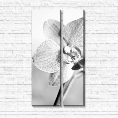 модульные картины Орхидея в серебре