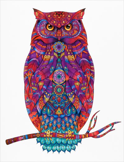 постеры Разноцветная сова