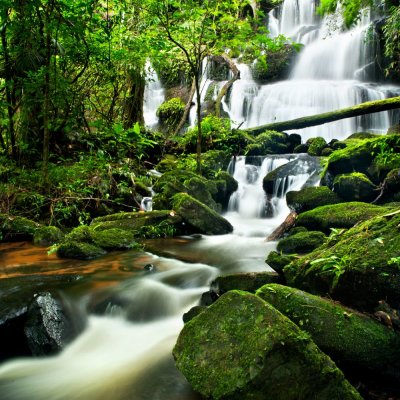 фотообои Водопад в лесу