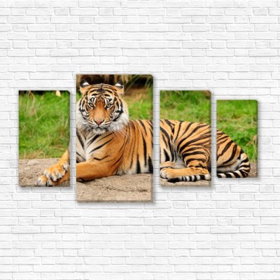 модульные картины Тигр