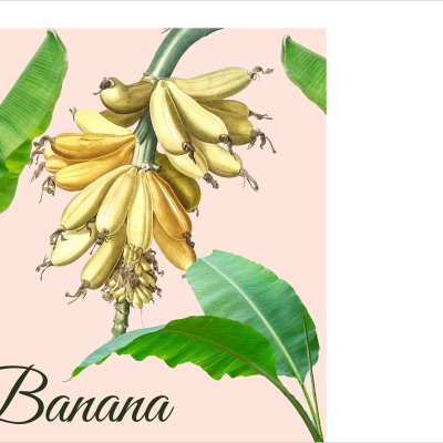 постеры Банановая ветвь