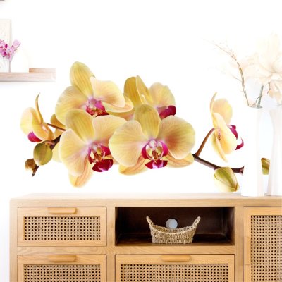 наклейки Медовая орхидея