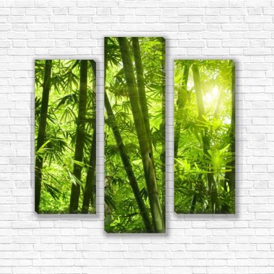 модульные картины Зеленый бамбук
