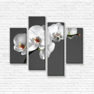 модульные картины Белые орхидеи
