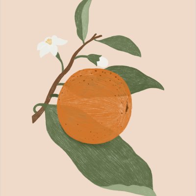 постеры Апельсин на ветке