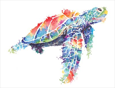 постеры Карибская черепаха