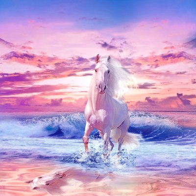 фотообои Белая лошадь и море