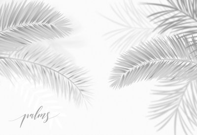 фотообои Серые пальмы