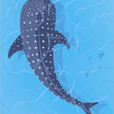 постеры Китовая акула